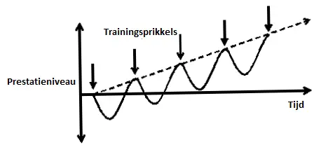 Cursus Trainingsfysiologie