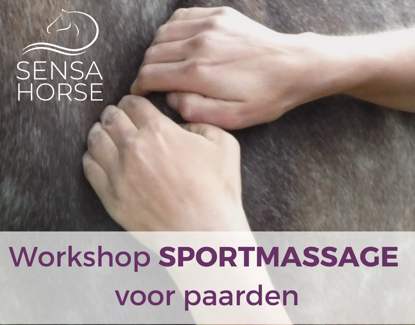 Workshop Sportmassage
