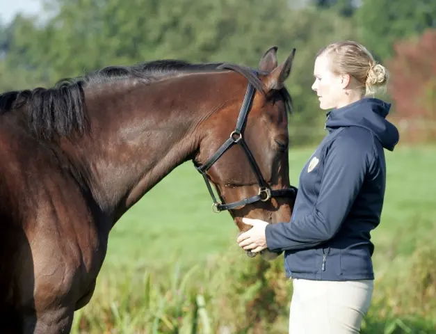 Blog 'In gesprek met je paard'
